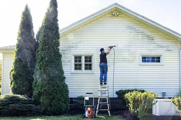 Best Fence Cleaning  in Plains, TX